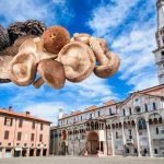 Sagre dei funghi e del tartufo in Emilia-Romagna