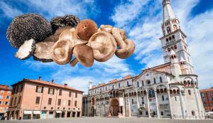 Sagre dei funghi e del tartufo in Emilia-Romagna