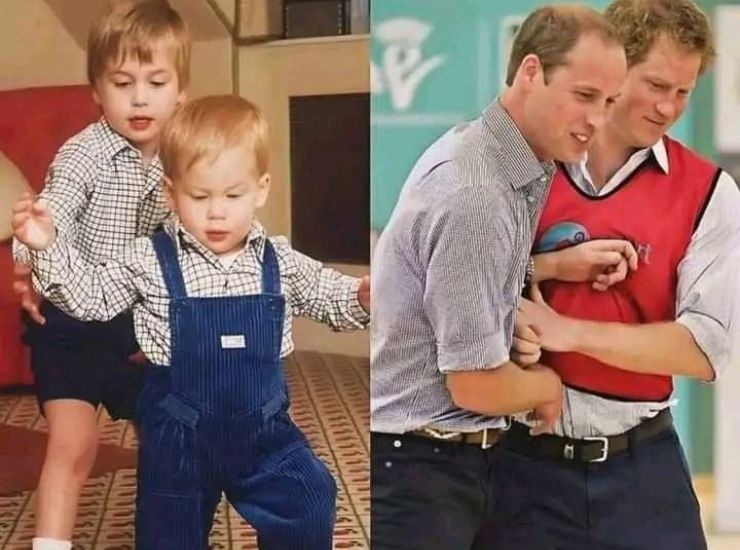 I fratelli William e Harry da piccoli e da grandi insieme