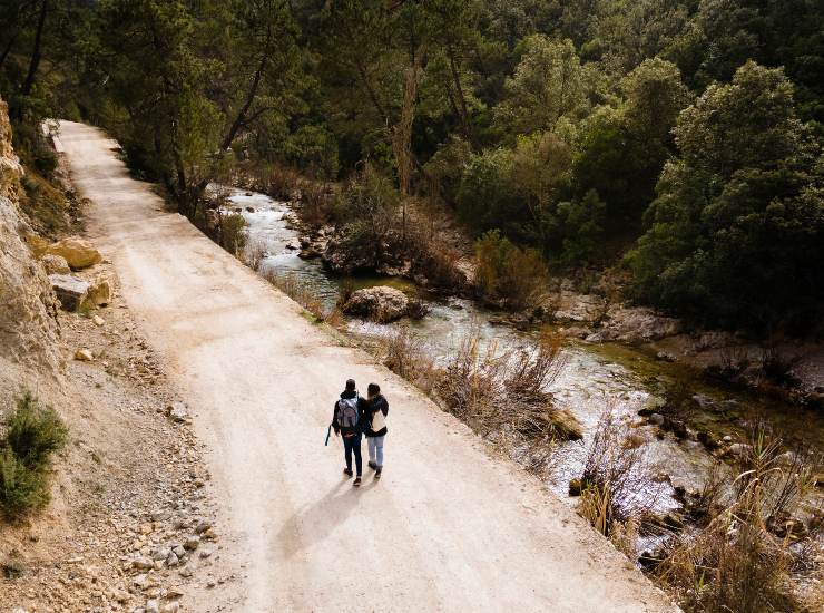 Due persone mentre fanno trekking nella natura