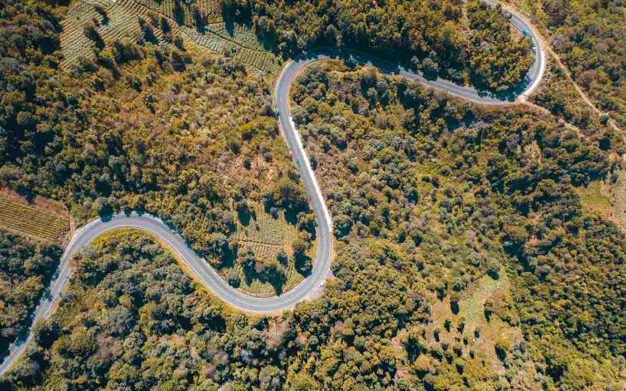 Vista dall'alto di una strada in mezzo agli alberi